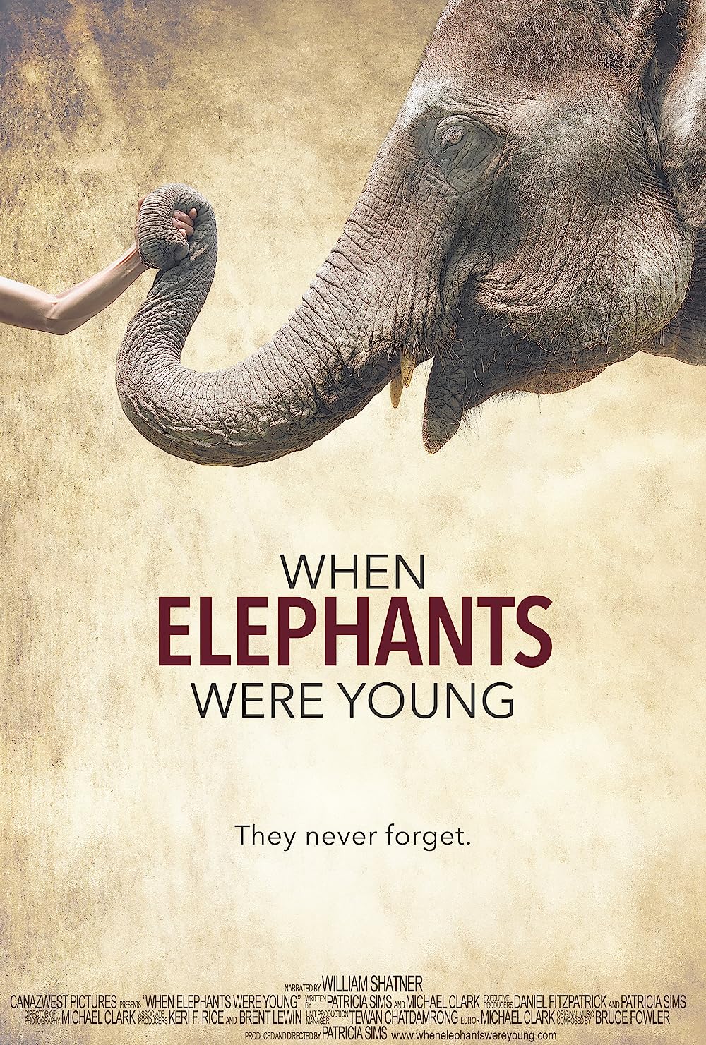 When Elephants Were Young poster