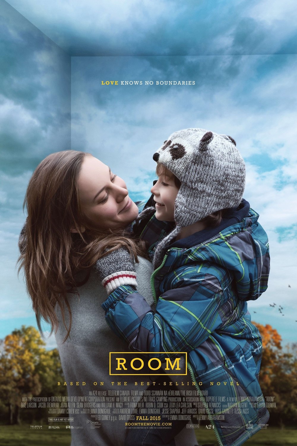 Room DVD Release Date Redbox, Netflix, iTunes, Amazon