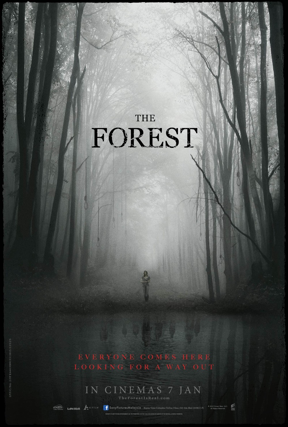 The Forest DVD Release Date | Redbox, Netflix, iTunes, Amazon