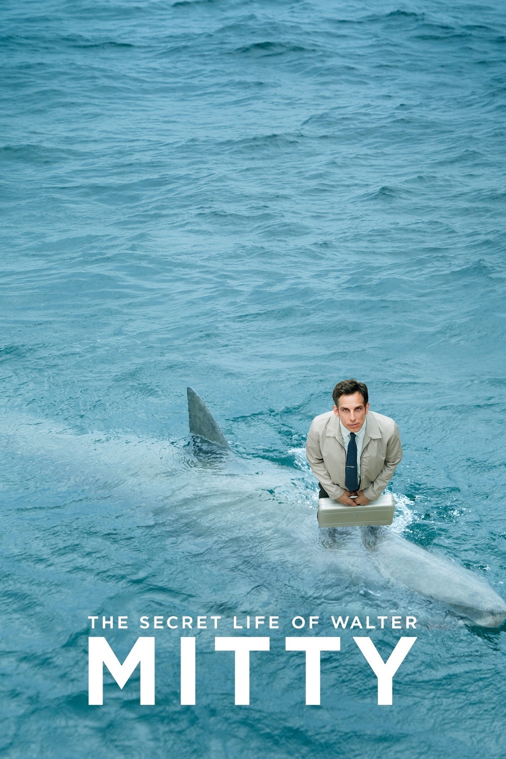 2013 The Secret Life Of Walter Mitty