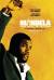 Mandela: Long Walk to Freedom Poster