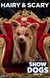 Show Dogs Poster