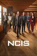 NCIS Season 22