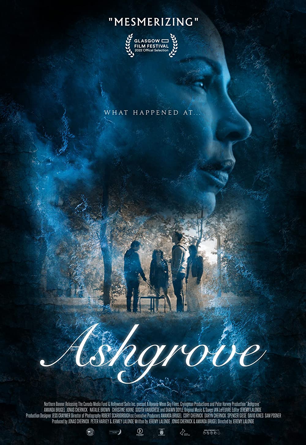 Ashgrove poster
