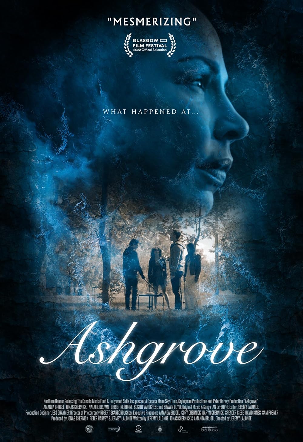 Ashgrove poster