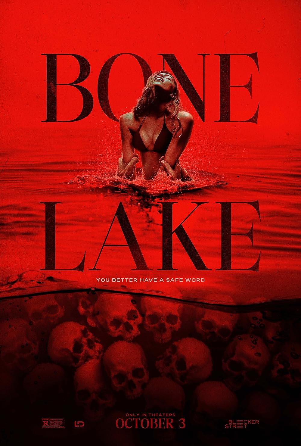 Bone Lake poster