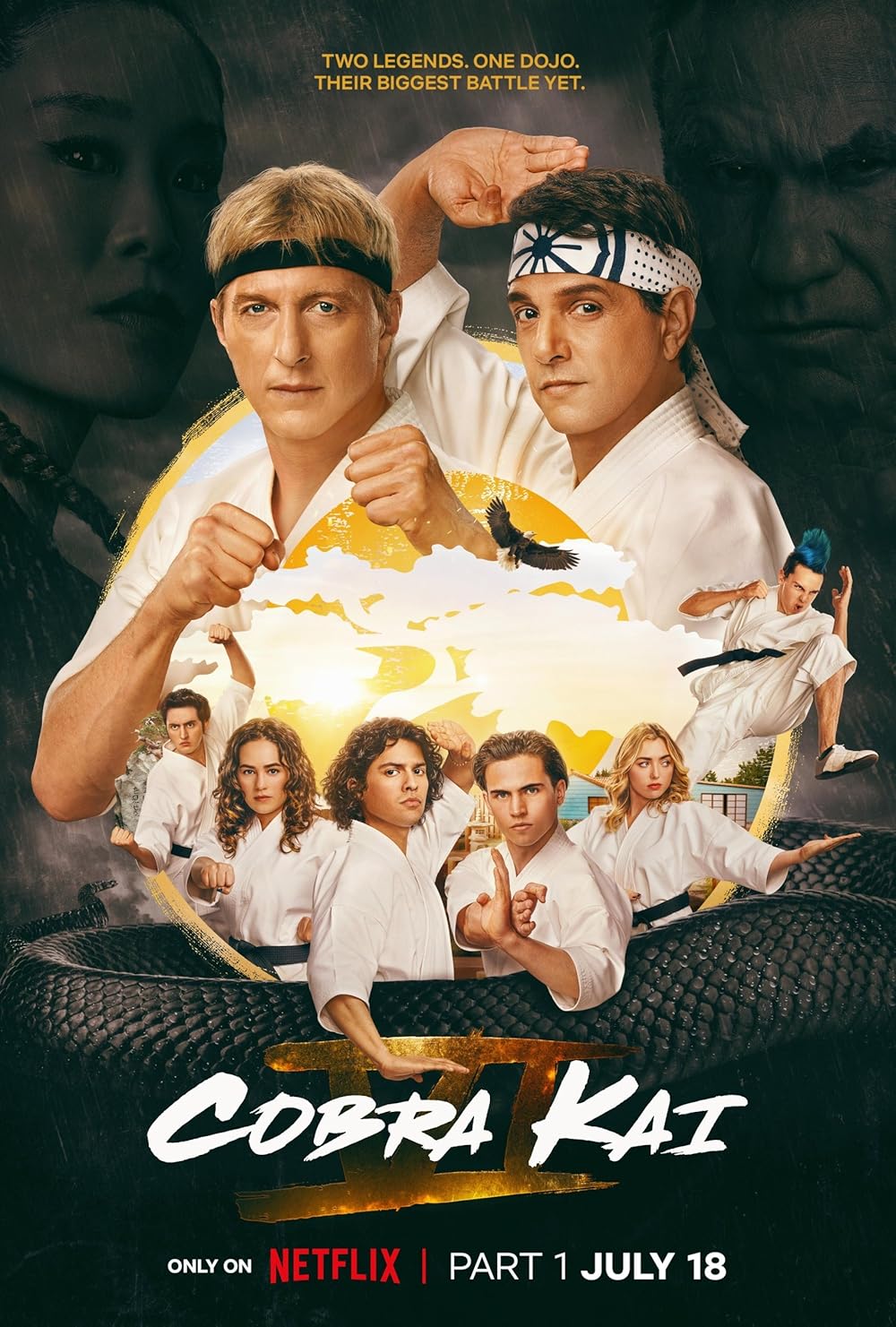 Cobra Kai poster