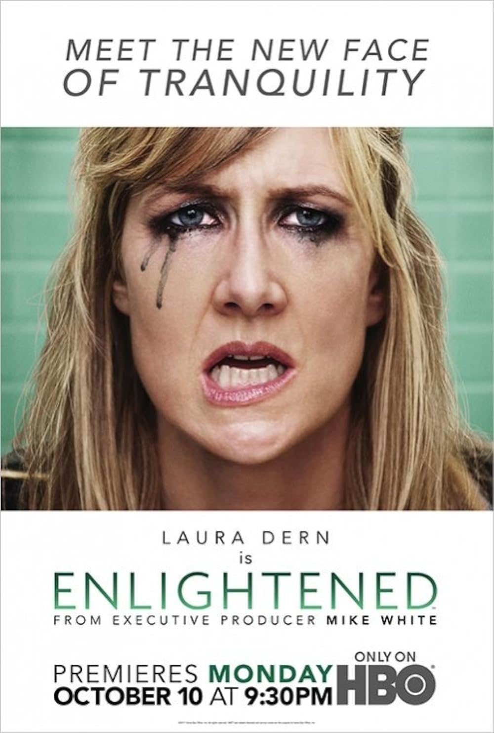 Enlightened poster