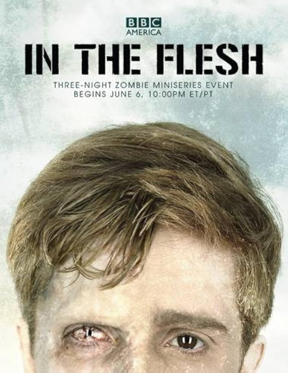 In the Flesh poster