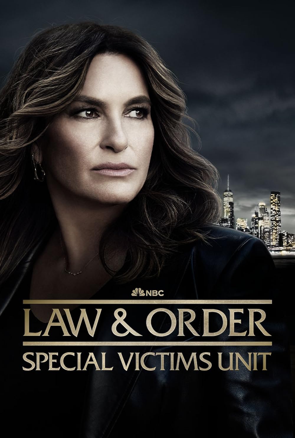 Law &amp; Order: Special Victims Unit poster