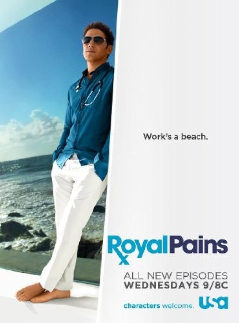 Royal Pains poster