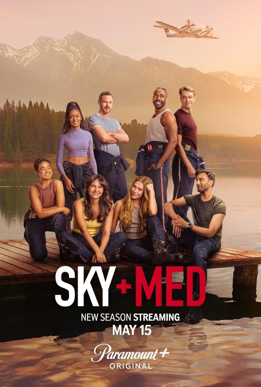 Skymed poster