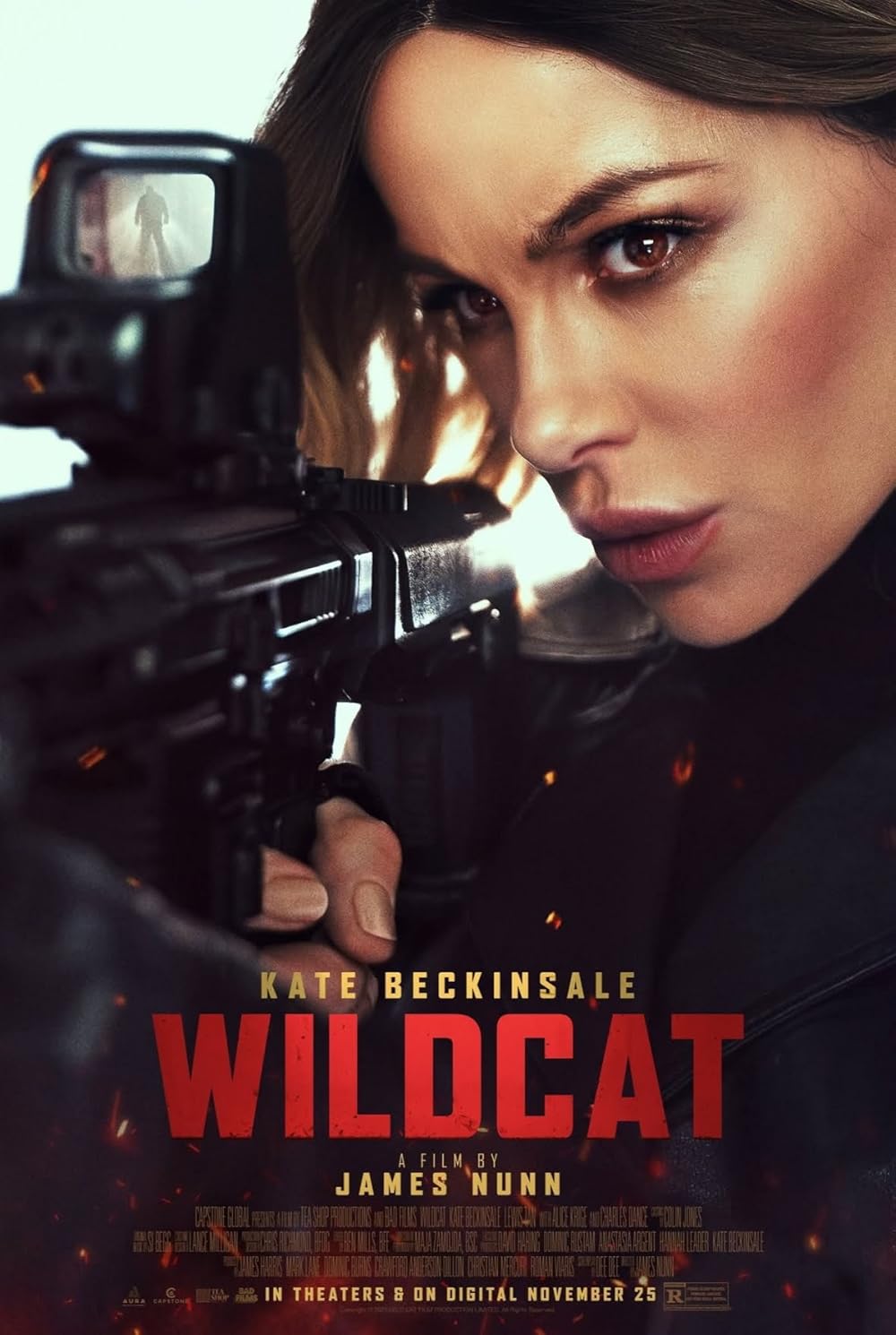 Wildcat poster