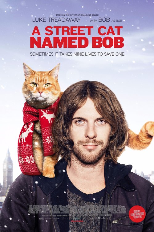 A Street Cat Named Bob poster