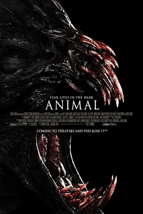 Animal poster