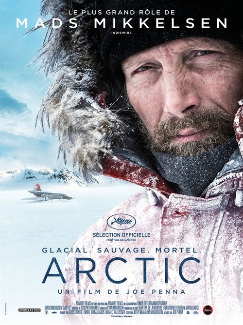 Arctic poster