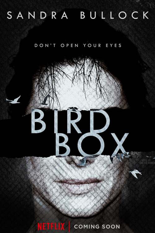 Bird Box poster