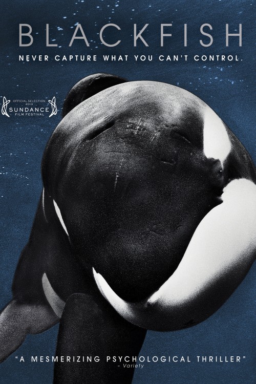 Blackfish poster