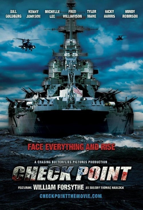 Check Point poster