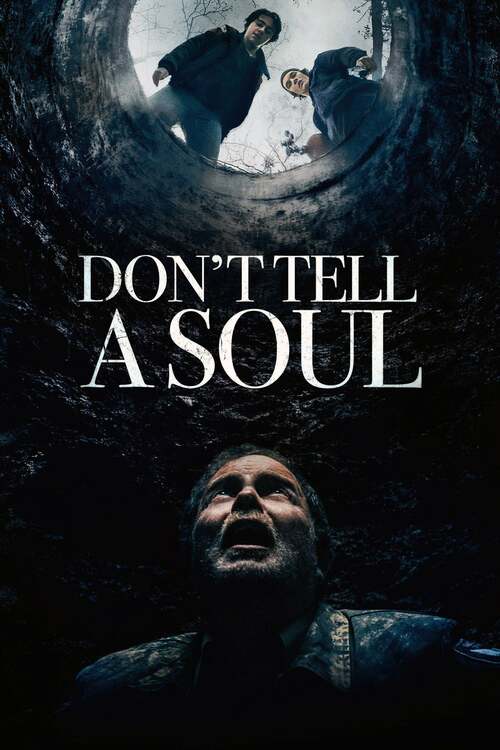 Don&#039;t Tell a Soul poster