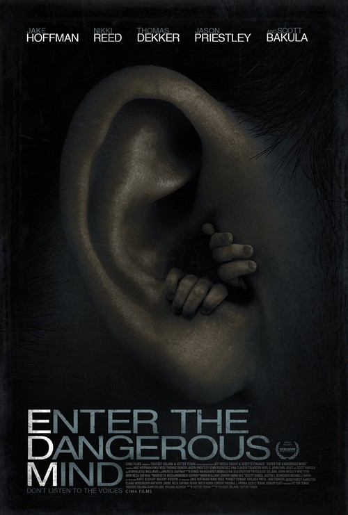 Enter the Dangerous Mind poster