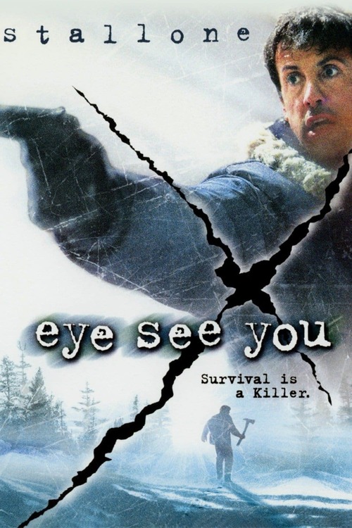 Eye See You poster