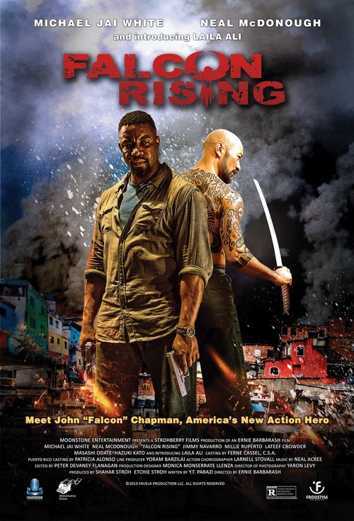 Falcon Rising poster