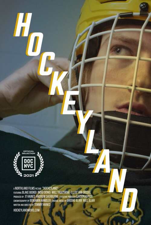 Hockeyland poster