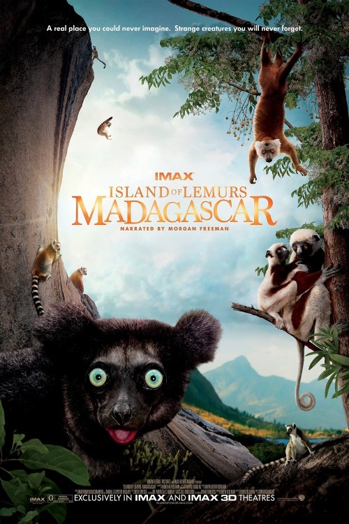 Island of Lemurs: Madagascar poster