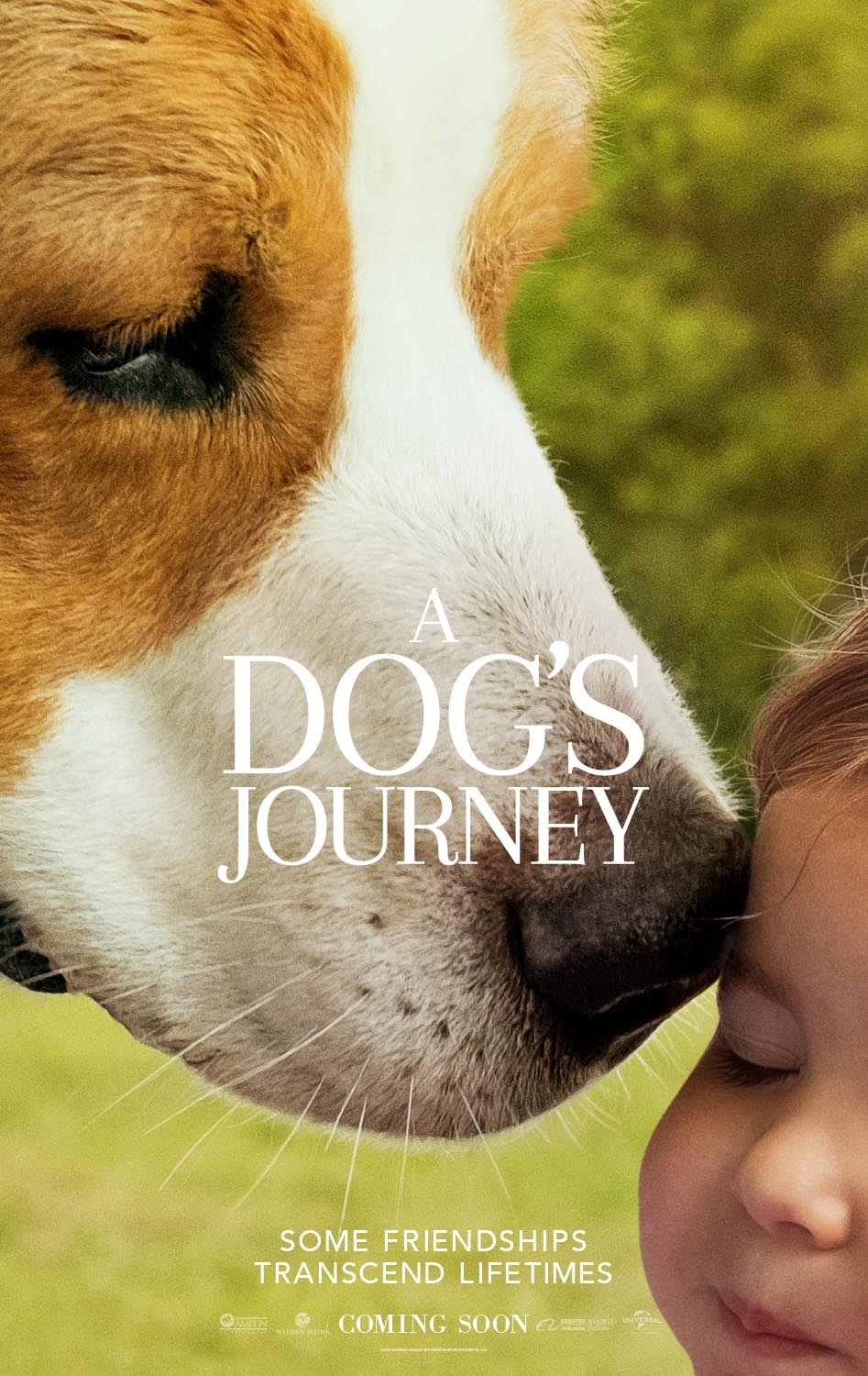 a dog's journey clips
