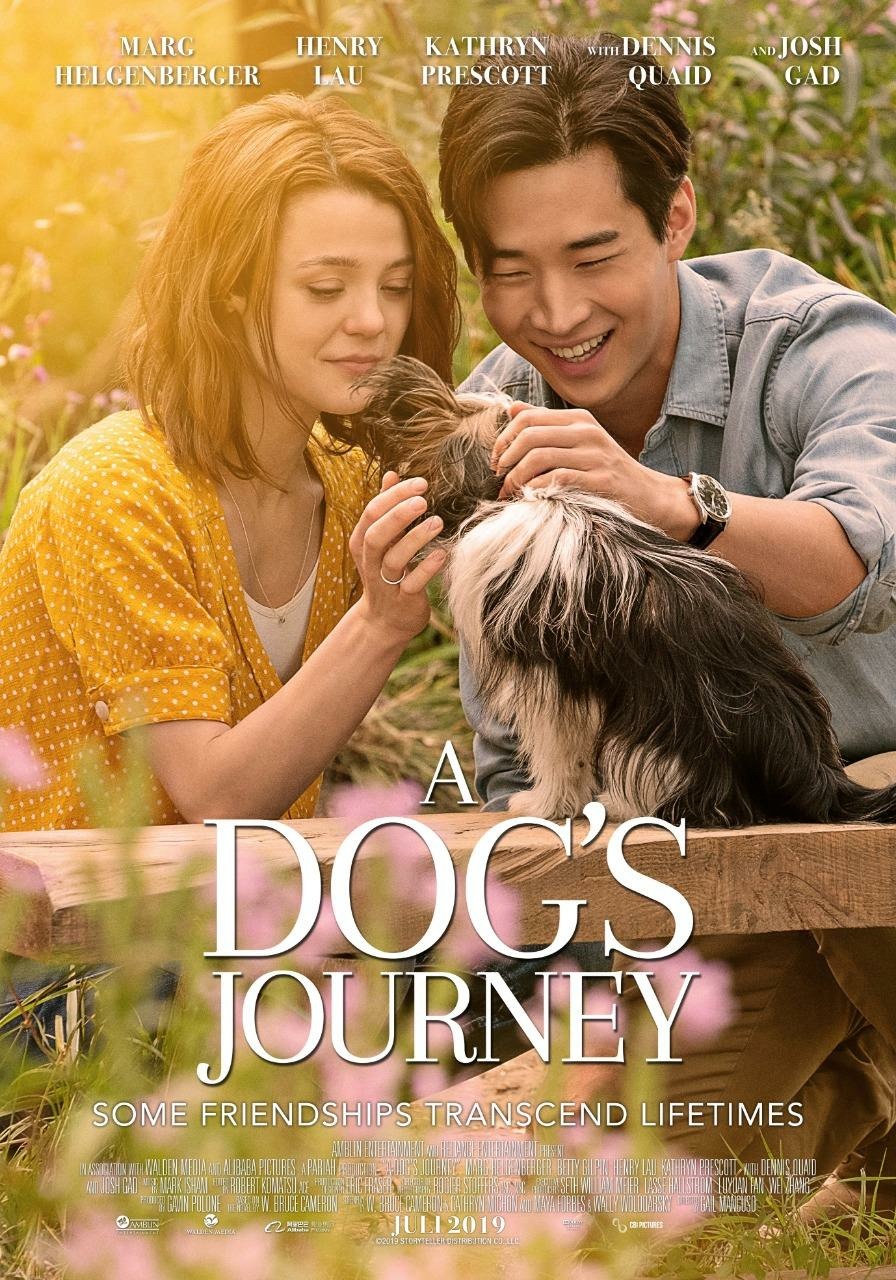 a dog's journey disney plus