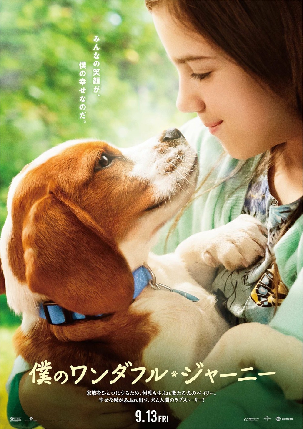 A Dog's Journey DVD Release Date | Redbox, Netflix, iTunes ...