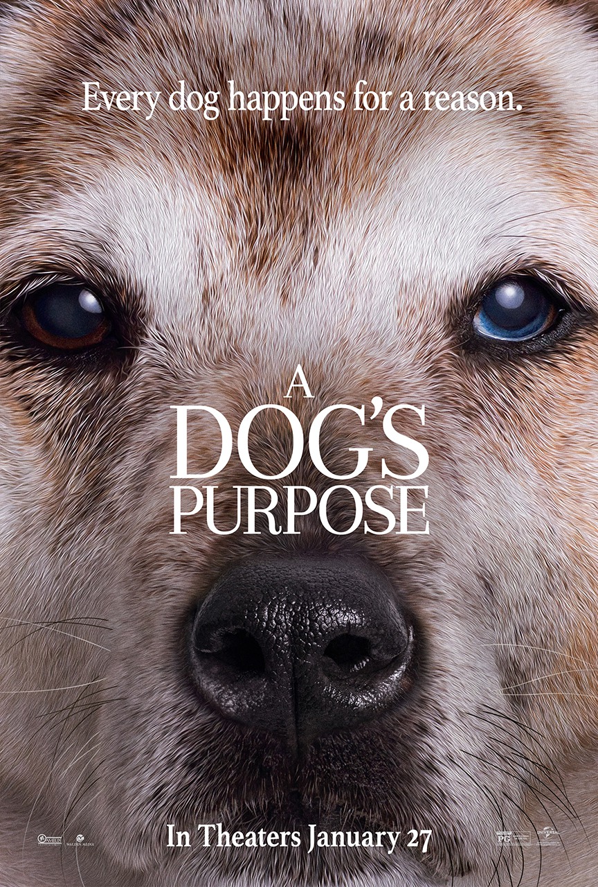 A Dog's Purpose DVD Release Date | Redbox, Netflix, iTunes ...