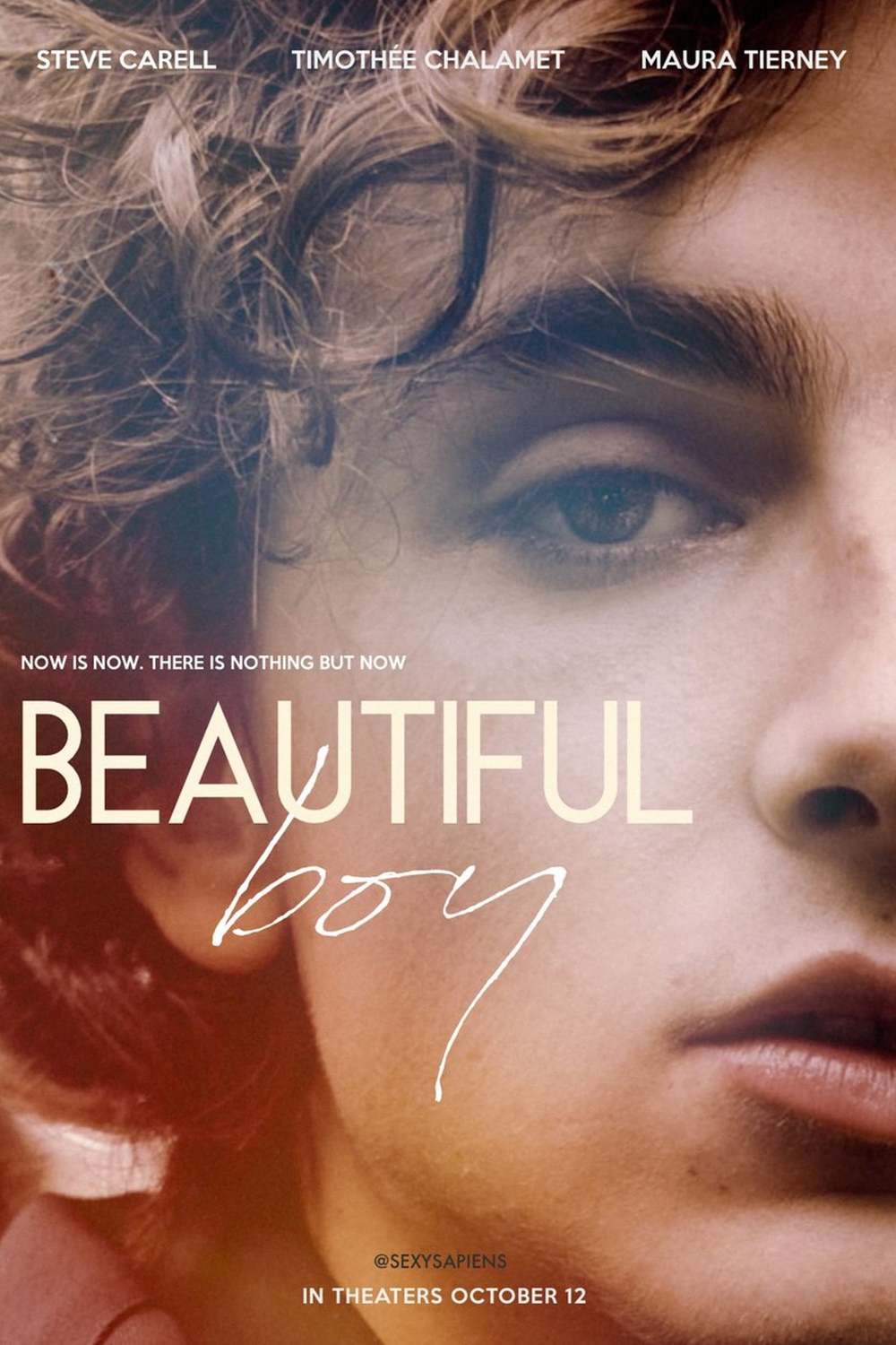 Beautiful Boy DVD Release Date  Redbox, Netflix, iTunes 