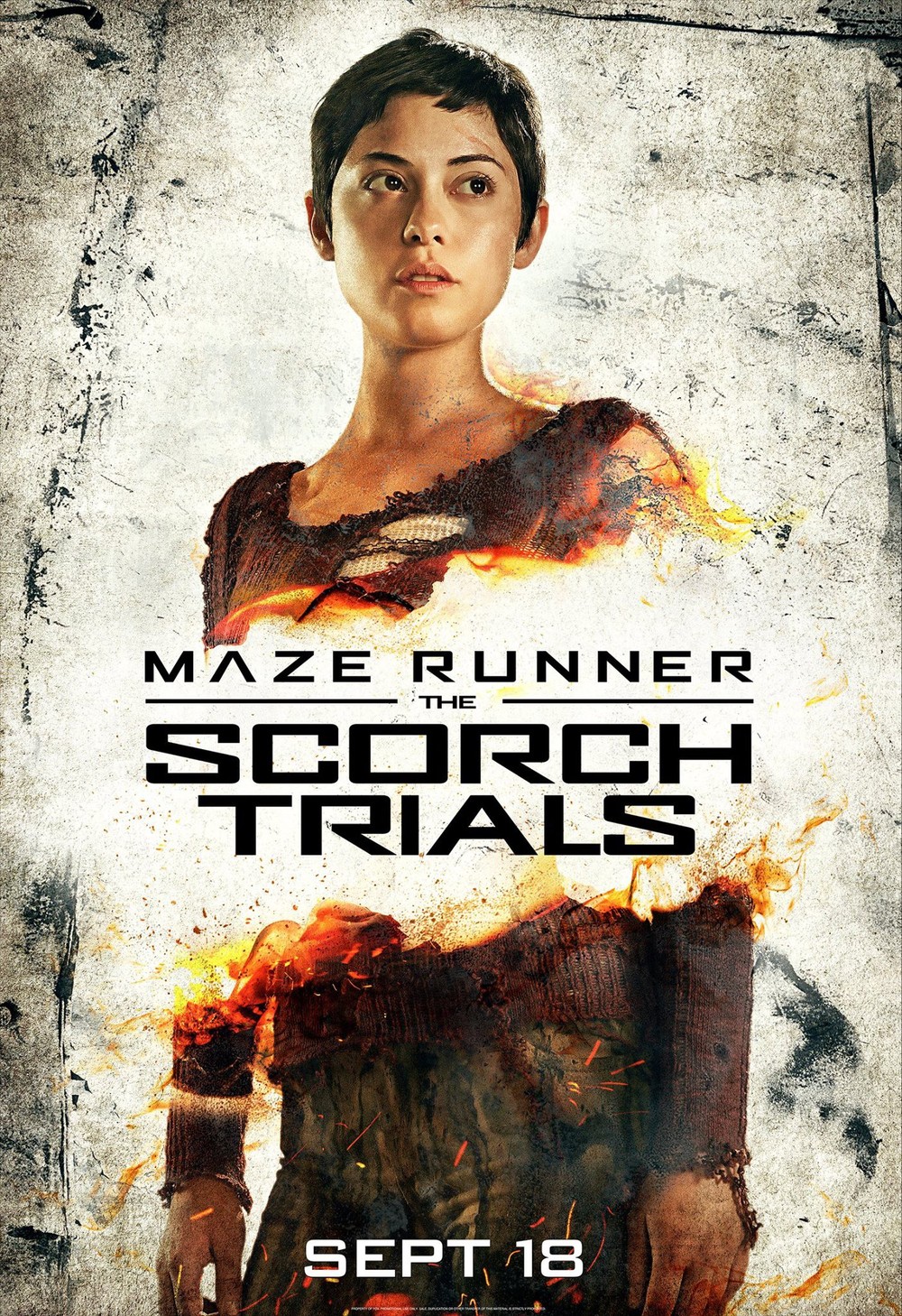 Maze Runner III [DVD]