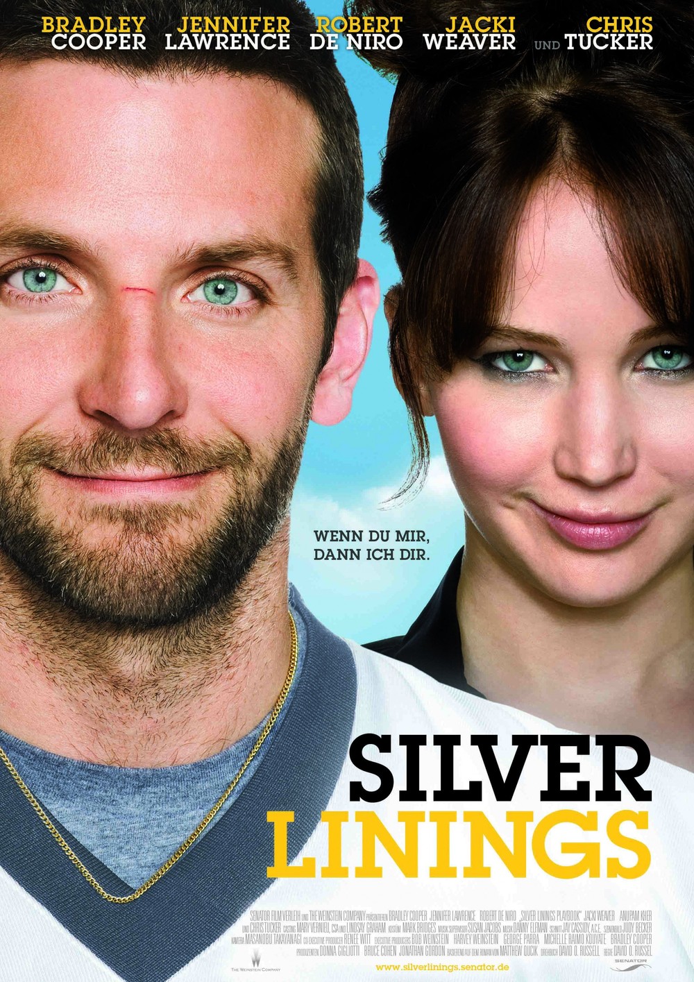 Silver Linings Playbook Dvd Release Date Redbox Netflix Itunes Amazon
