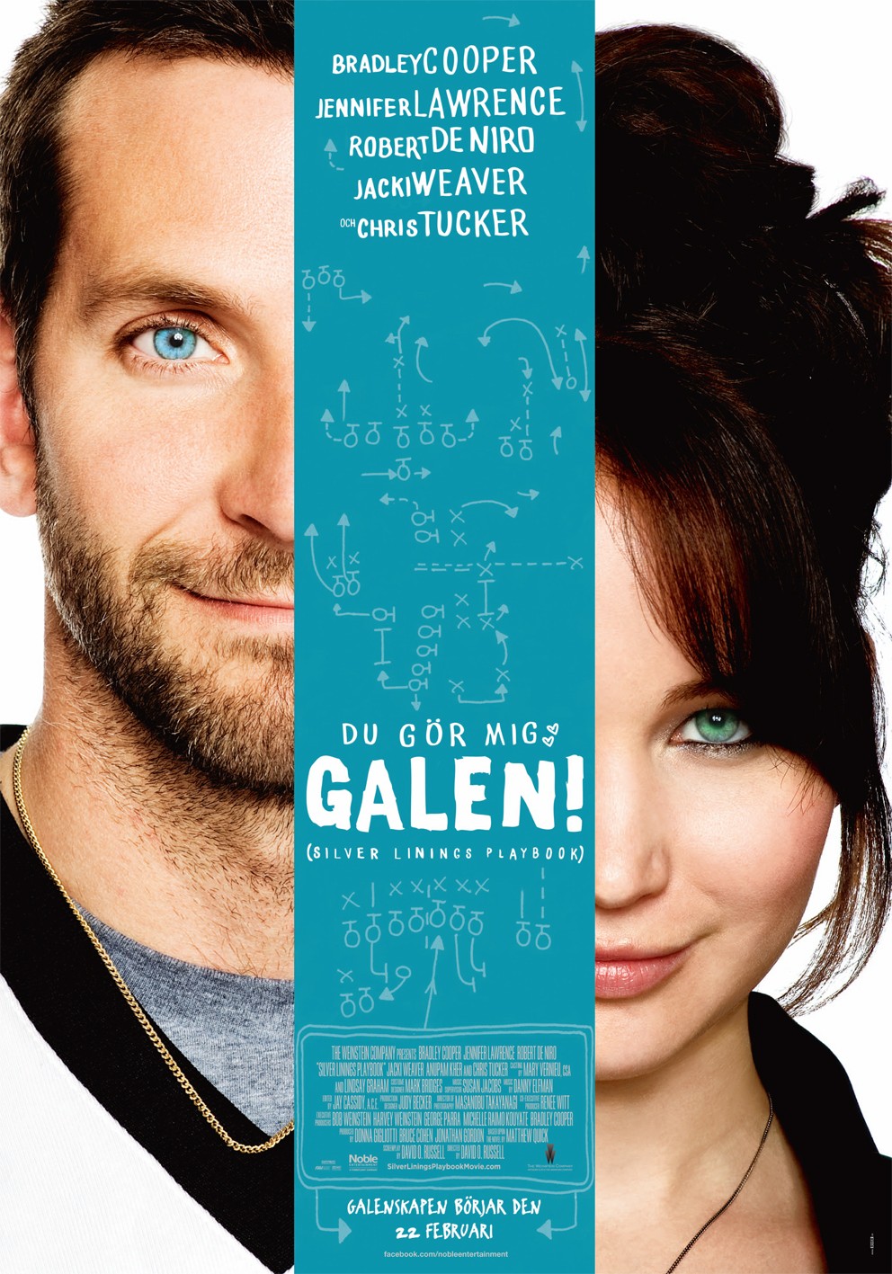 2012 Silver Linings Playbook