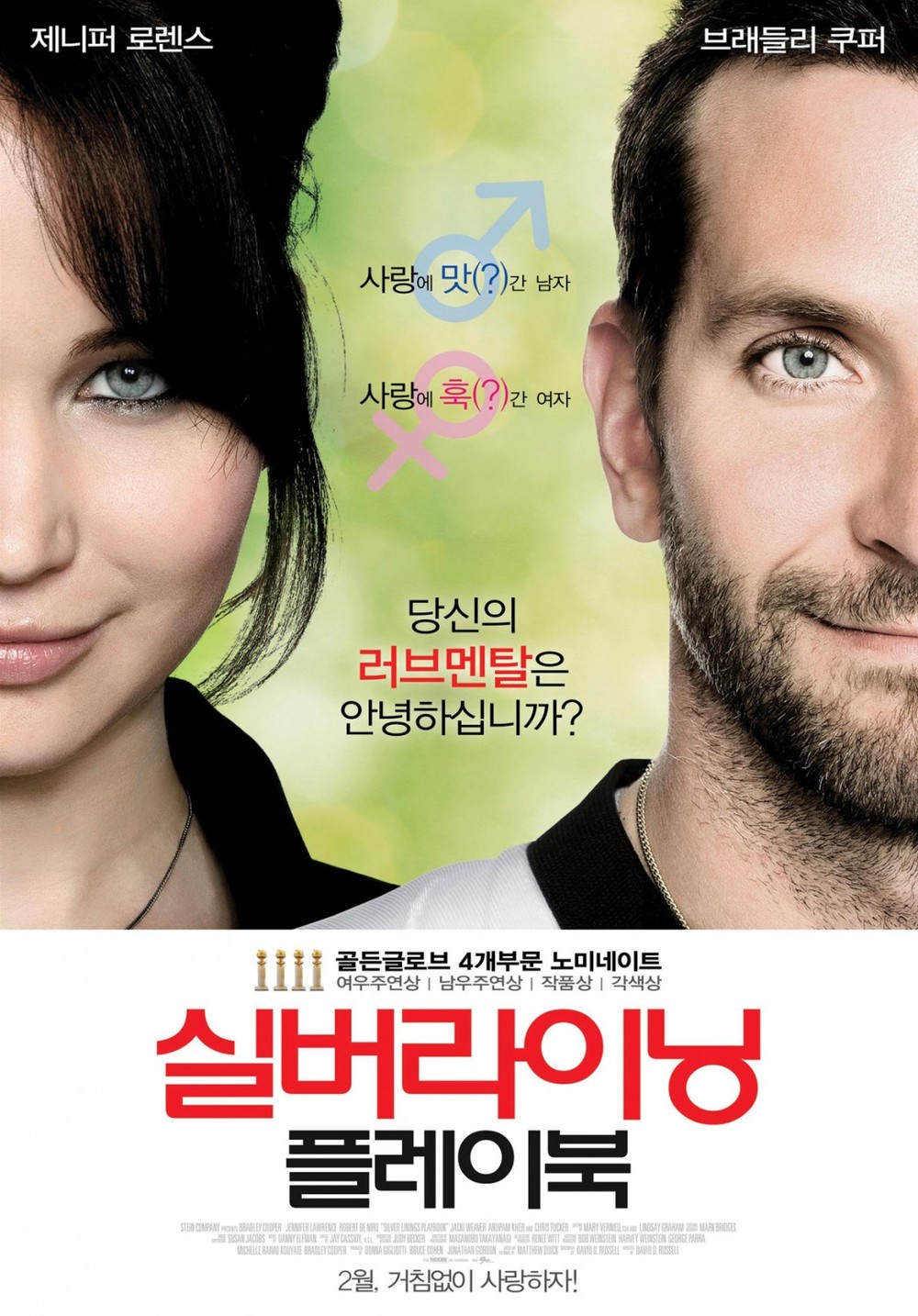 2012 Silver Linings Playbook