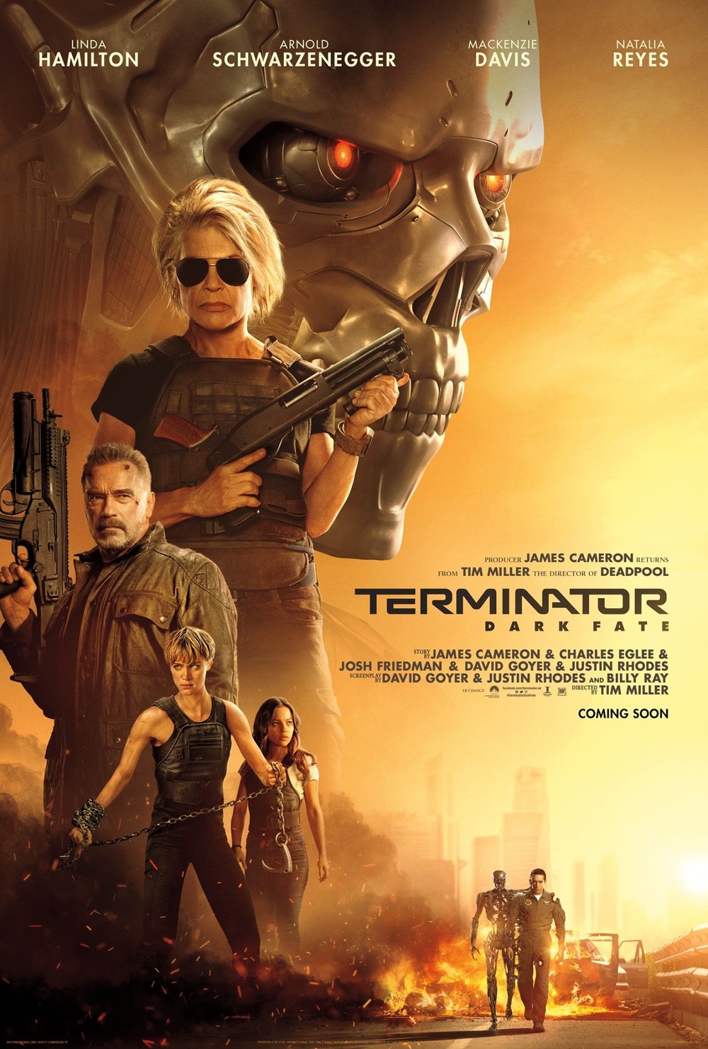 Terminator Dark Fate Dvd Release Date Redbox Netflix Itunes