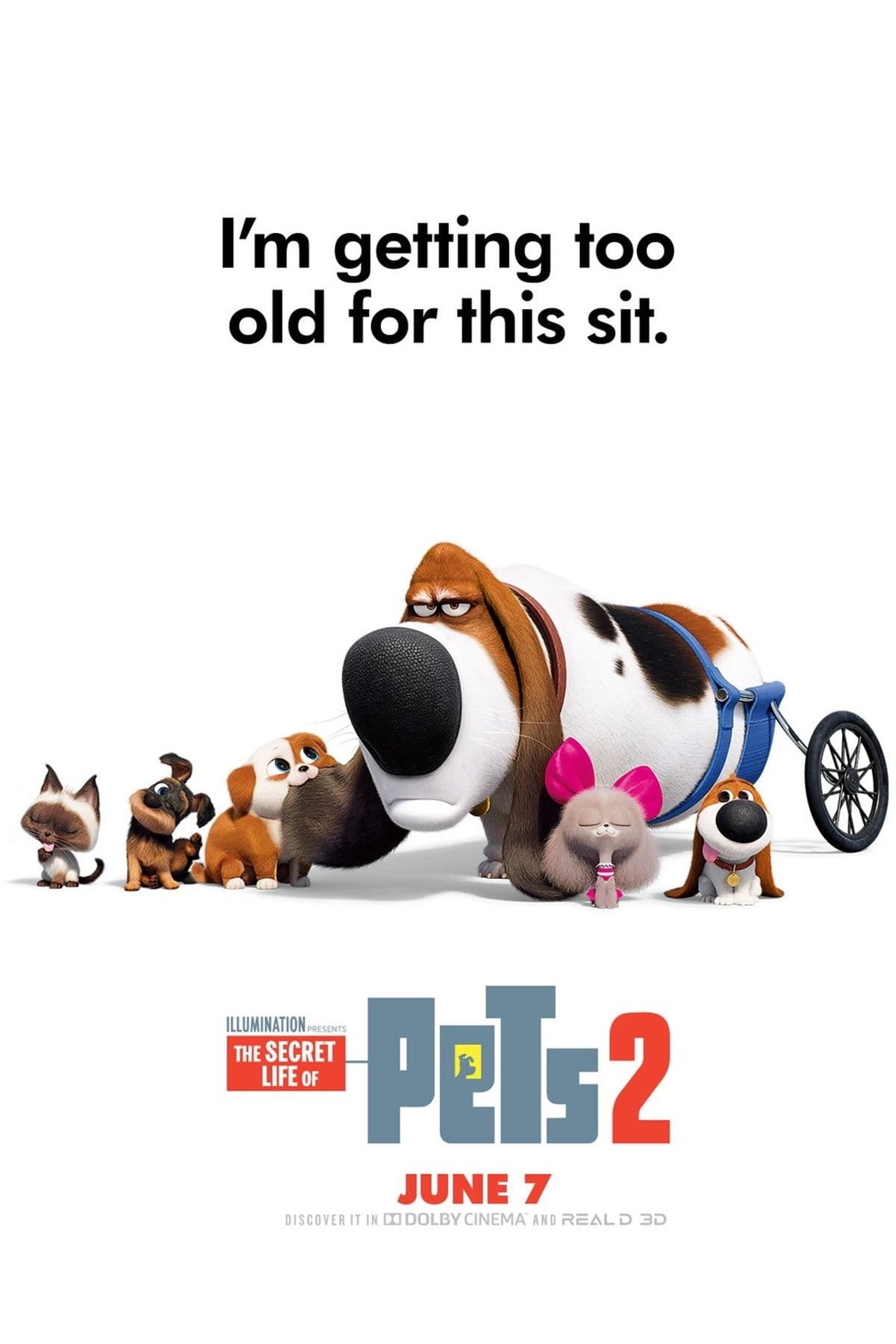 where to buy the secret life of pets movie