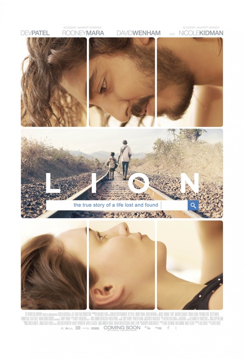 Lion poster