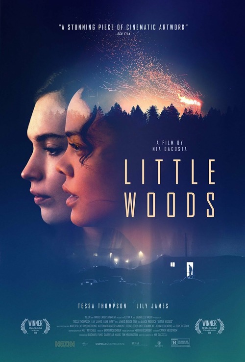 Little Woods poster