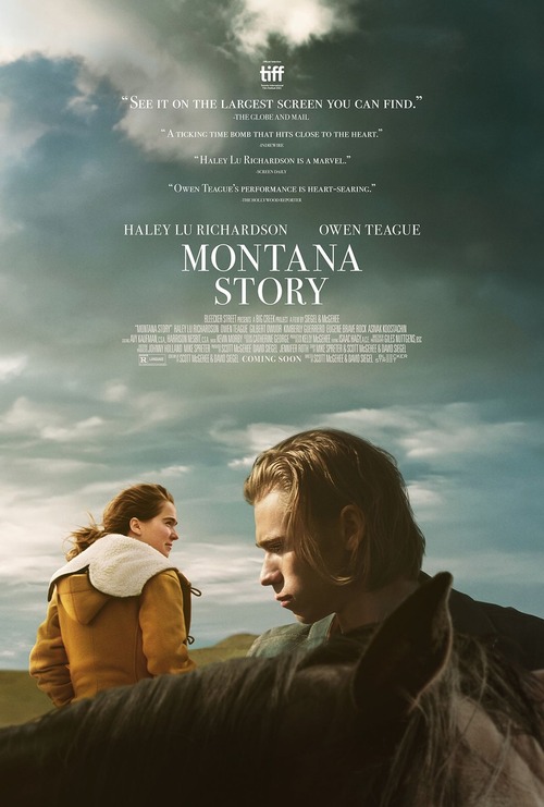 Montana Story poster