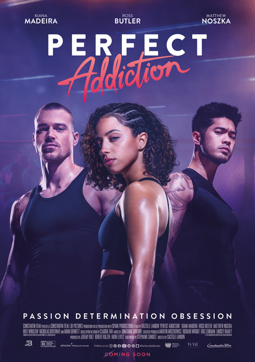 Perfect Addiction poster