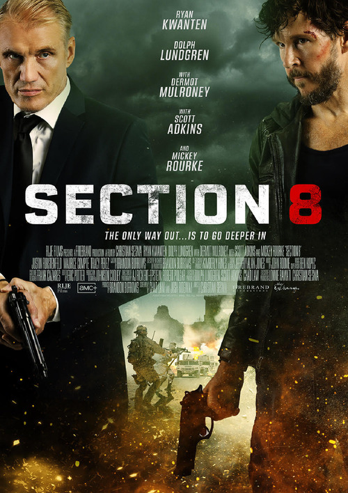 Section 8 poster