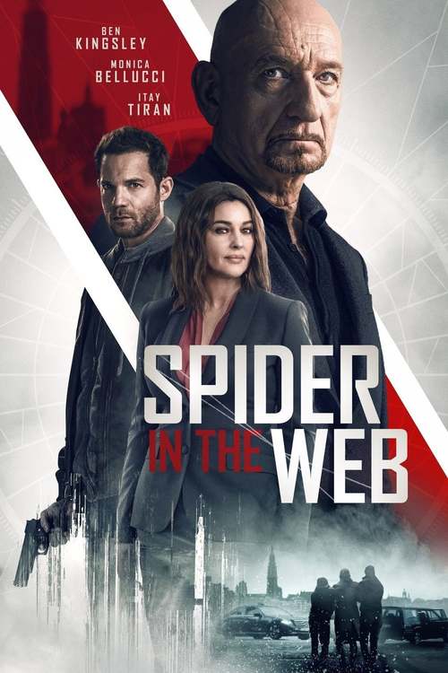 Spider in the Web poster