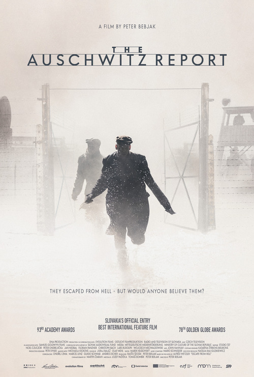 The Auschwitz Report poster