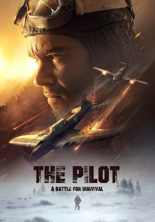 The Pilot. A Battle for Survival poster