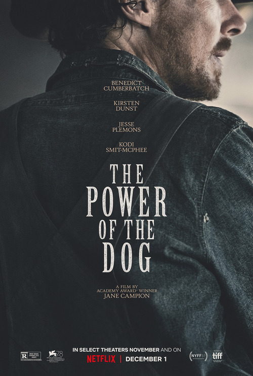 The Power of the Dog poster