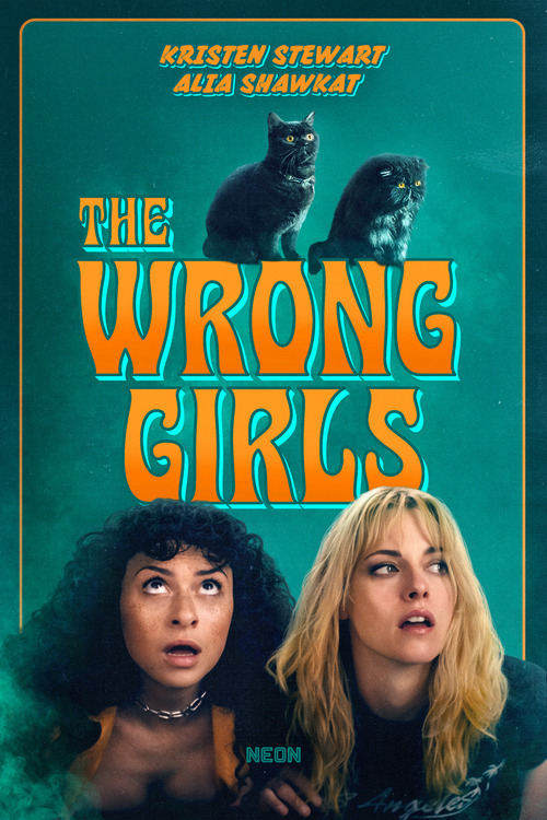 The Wrong Girls poster